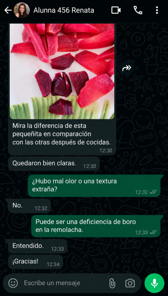 ChatGPT Image 2 de set. de 2026, 20_53_22